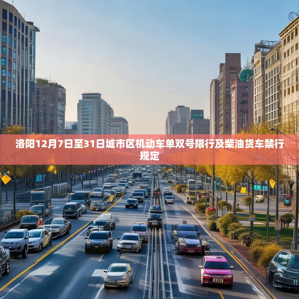 洛阳12月7日至31日城市区机动车单双号限行及柴油货车禁行规定