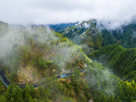 清明高速免费3天,上下高速要统一车道