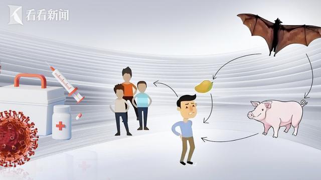 印度现尼帕病毒确诊病例,疫情对我国影响几何?