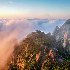 疫情期间故意传播传染病如何判刑?疫情期间刑事案件咋办?