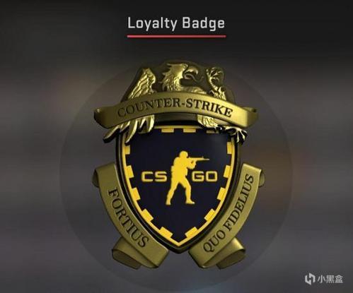 CSGO勋章硬币获取方式全知道,玩家速看
