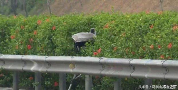 高速测速方式大揭秘:实时与区间测速原理及注意事项