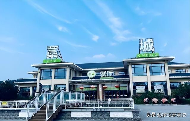 2026年高速服务区大变身!充电桩成新宠,还成旅游休闲地