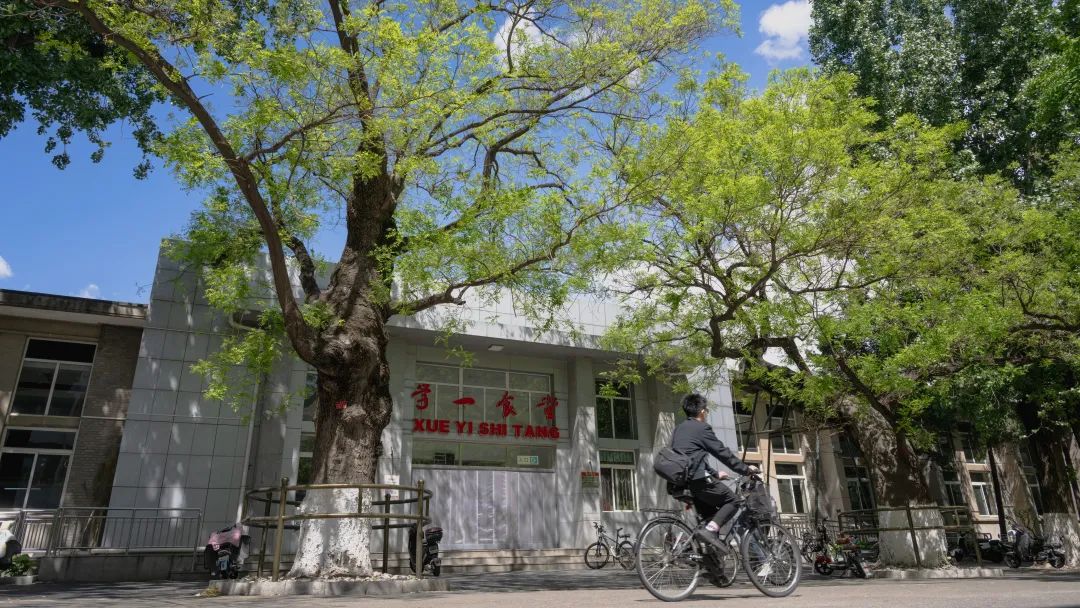 北大求学记：从渴望大馍到梦想成真，学一食堂的难忘时光